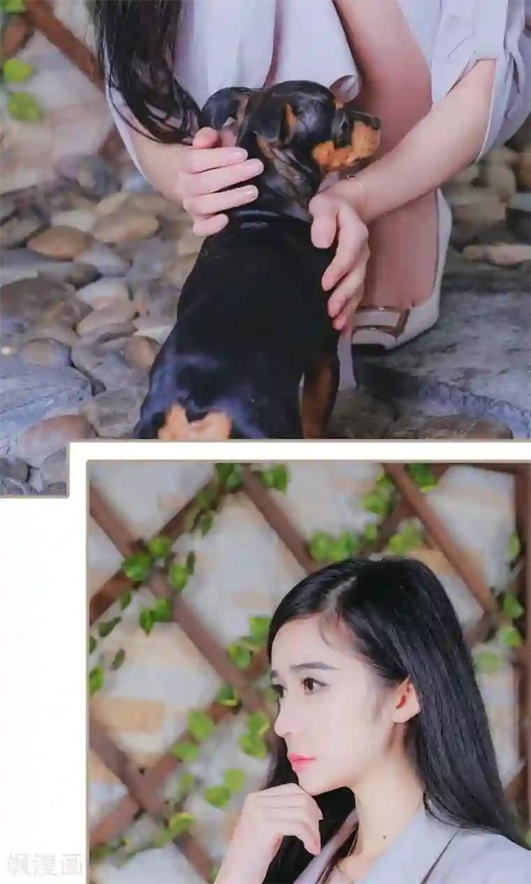 高调冷婚第30话