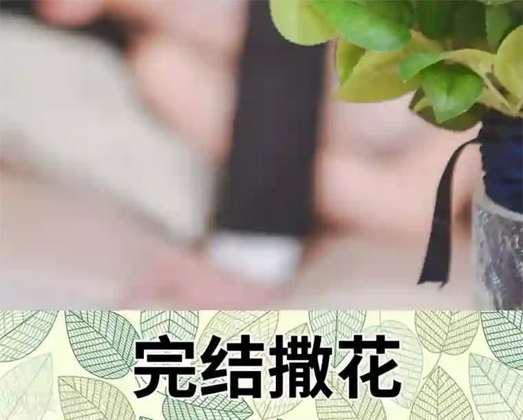高调冷婚最终话