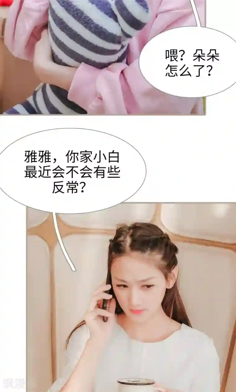 高调冷婚最终话