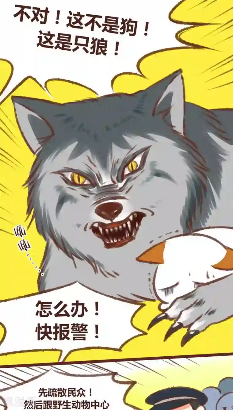 神兽退散第20话