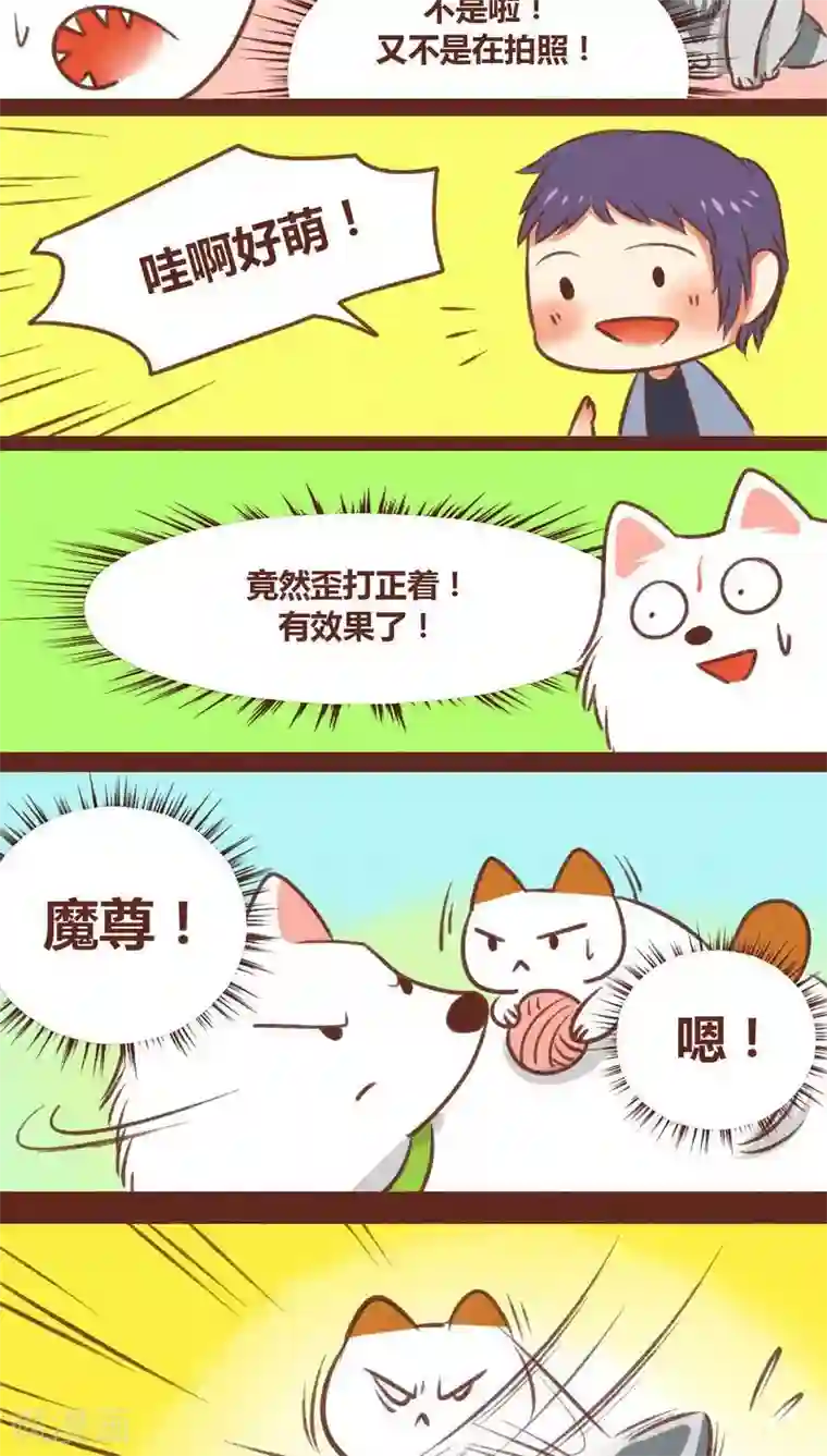 神兽退散第30话 背后眼