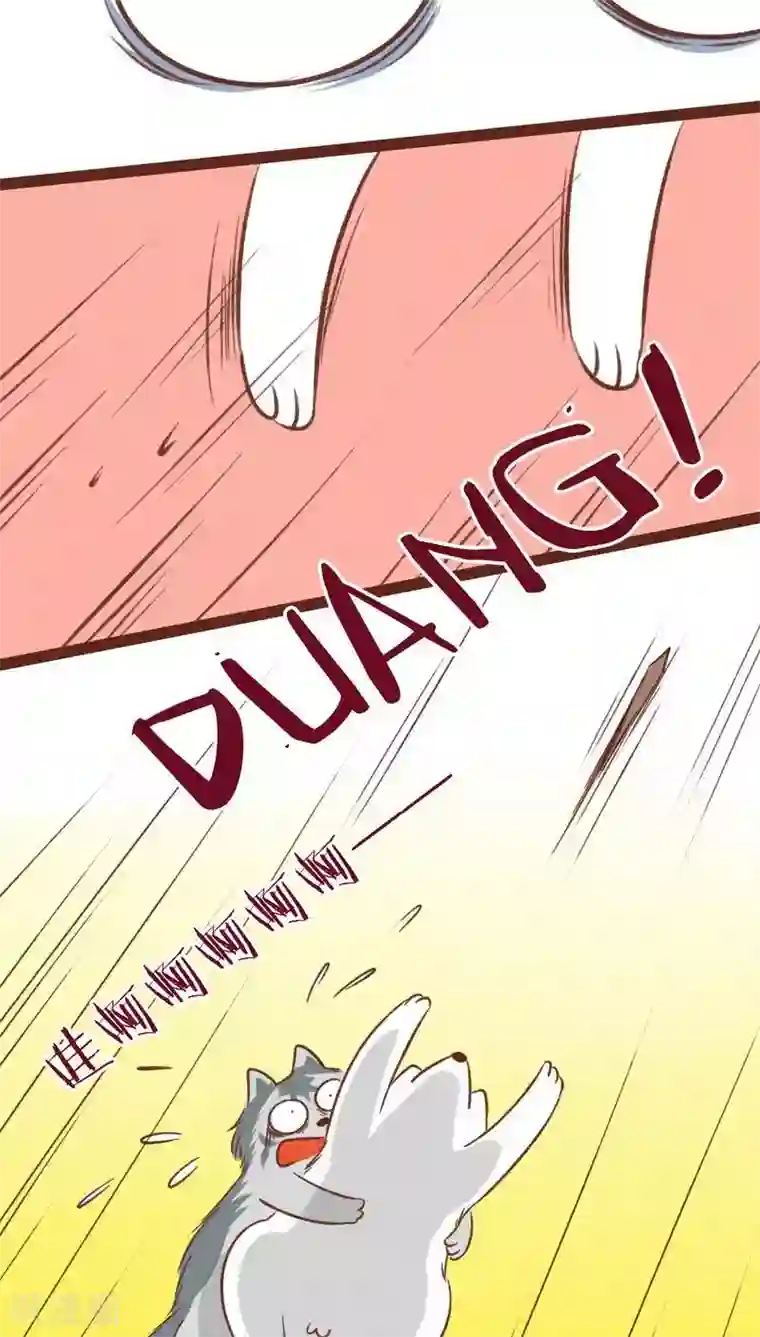 神兽退散第39话 封阵