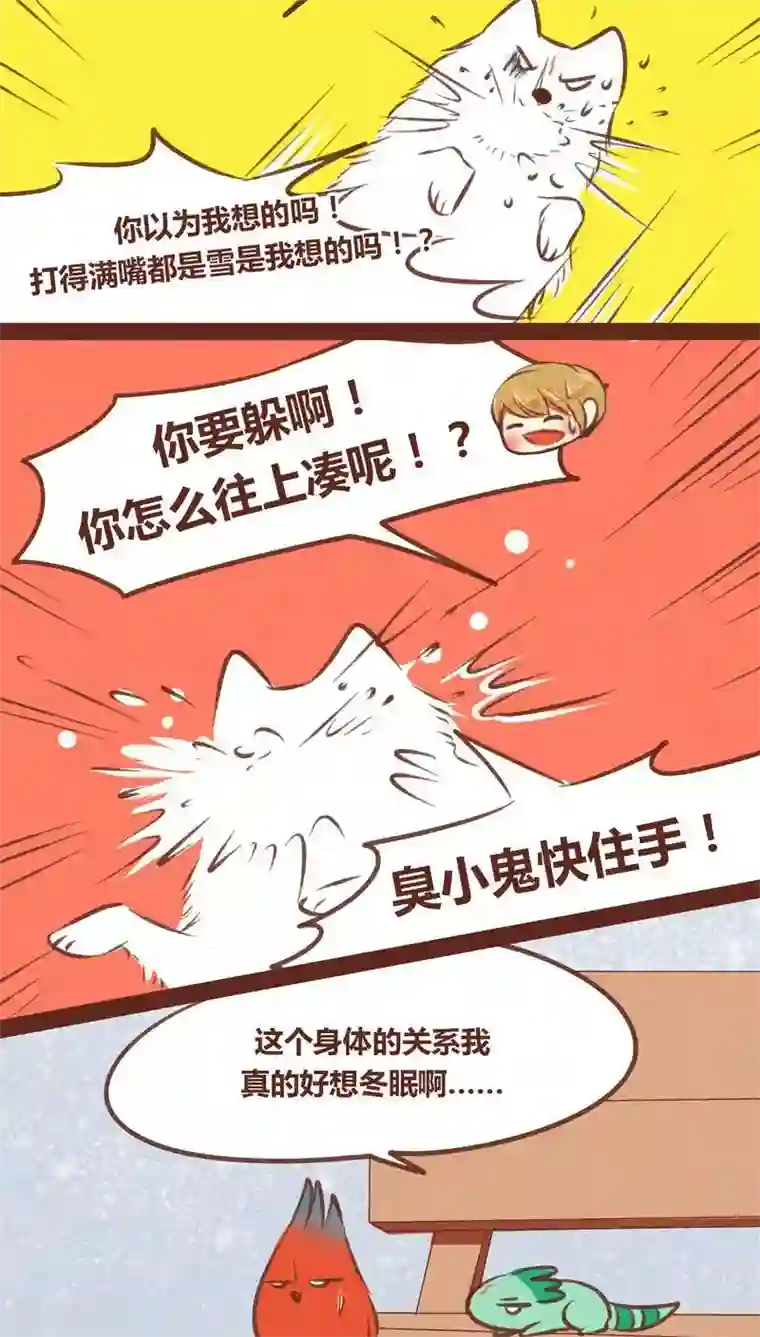 神兽退散第55话 发现