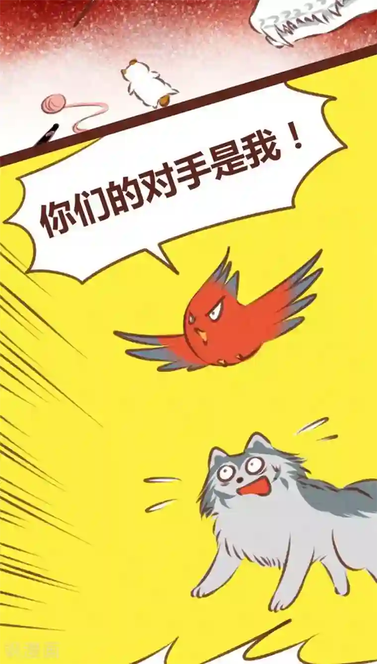 神兽退散第60话 接生