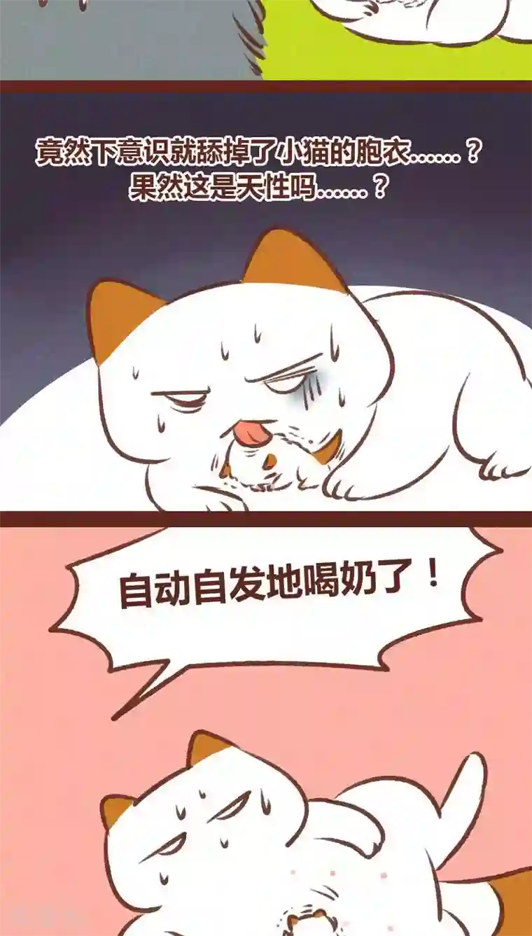 神兽退散第62话 神雀凤凰