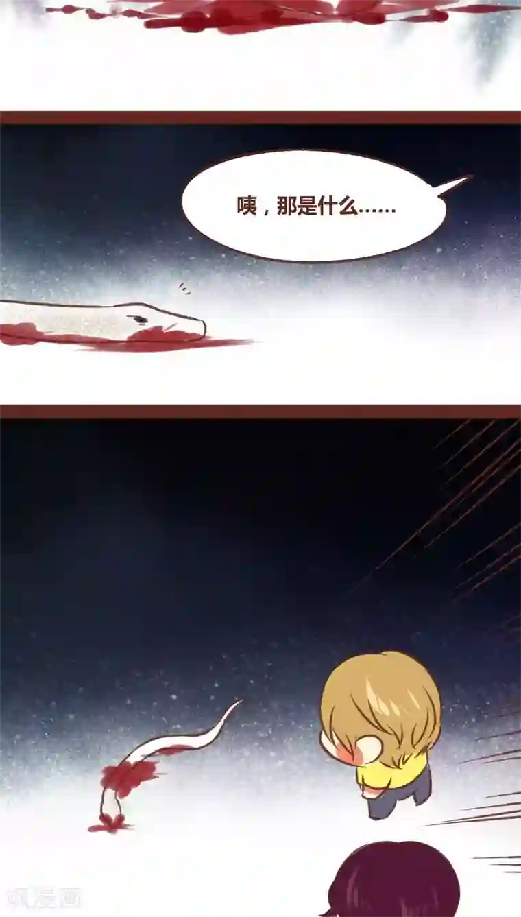 神兽退散第71话 走马灯（下）