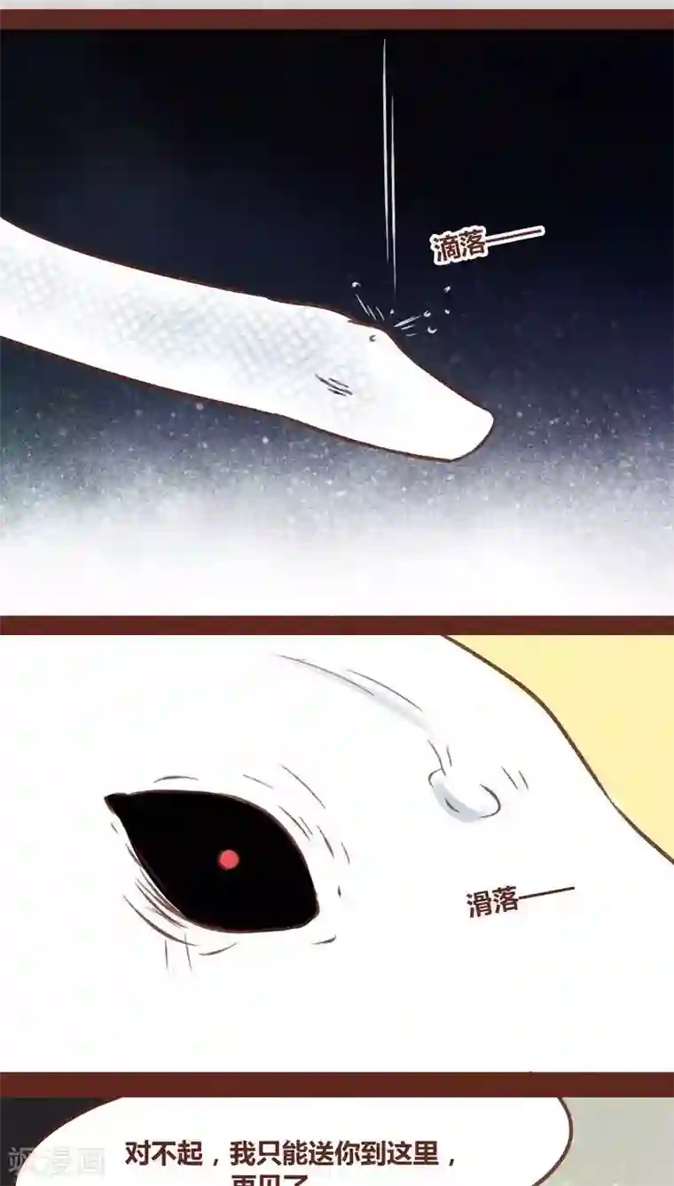 神兽退散第71话 走马灯（下）
