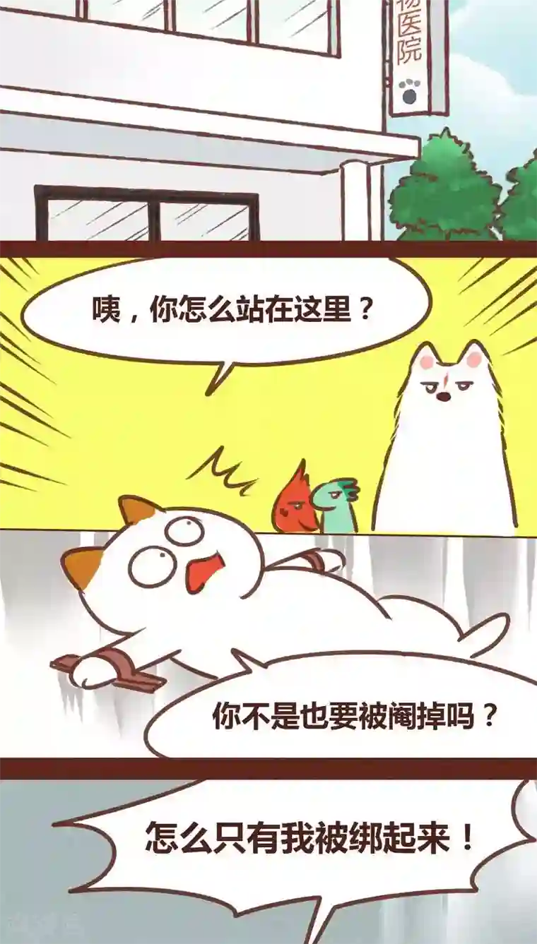 神兽退散第73话 套路