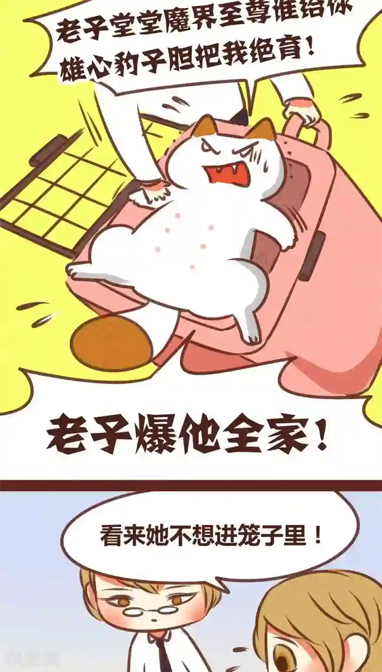 神兽退散第73话 套路