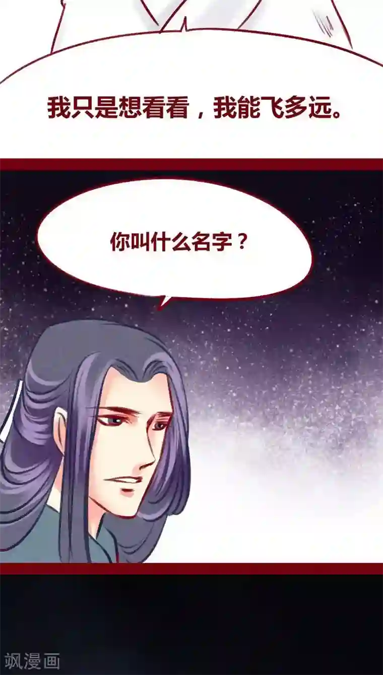 神兽退散第99话 掠红的一生（下）