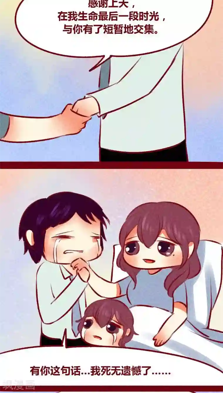 神兽退散第102话 寻寻觅觅（下）