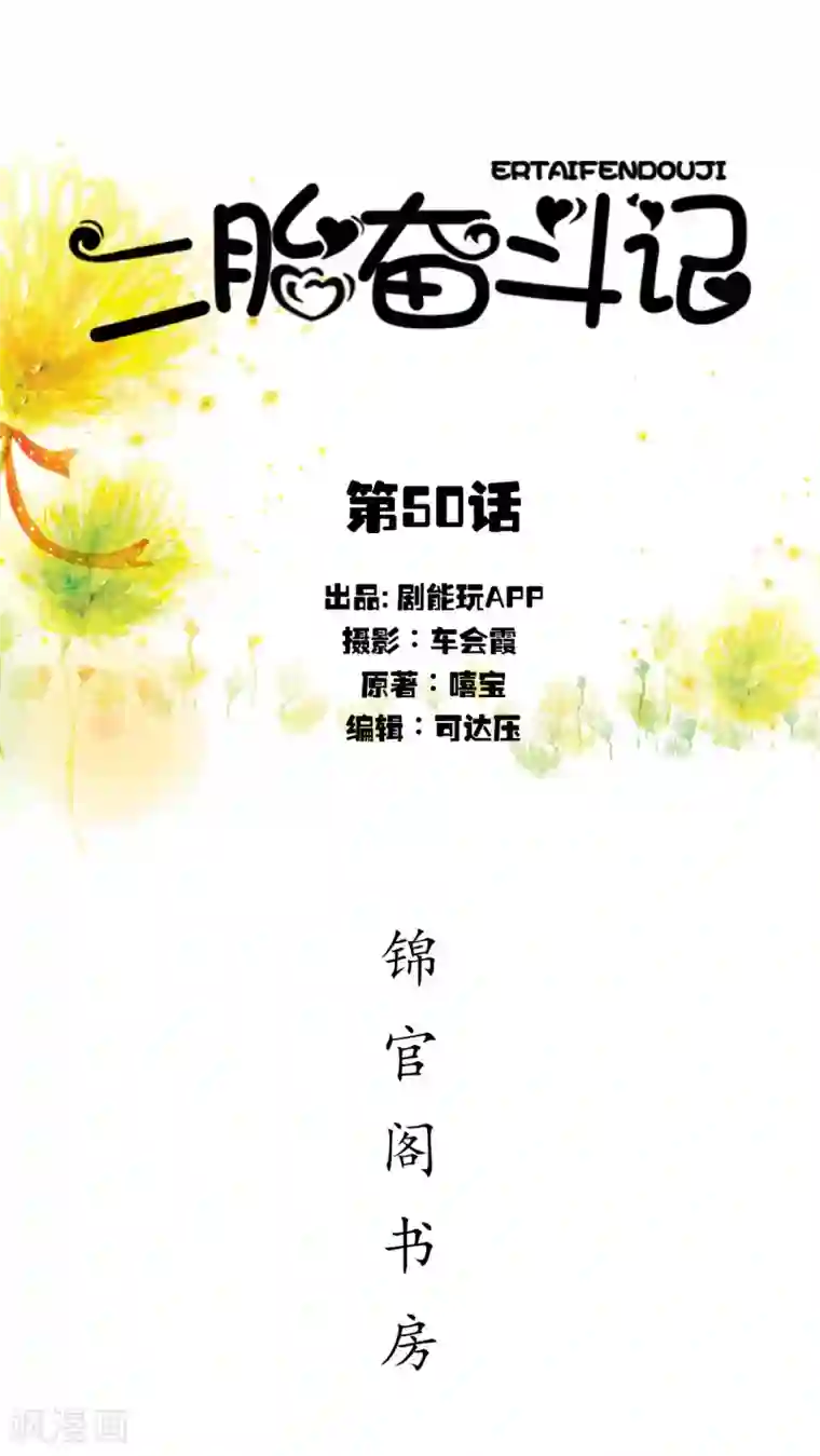 二胎奋斗记最终话