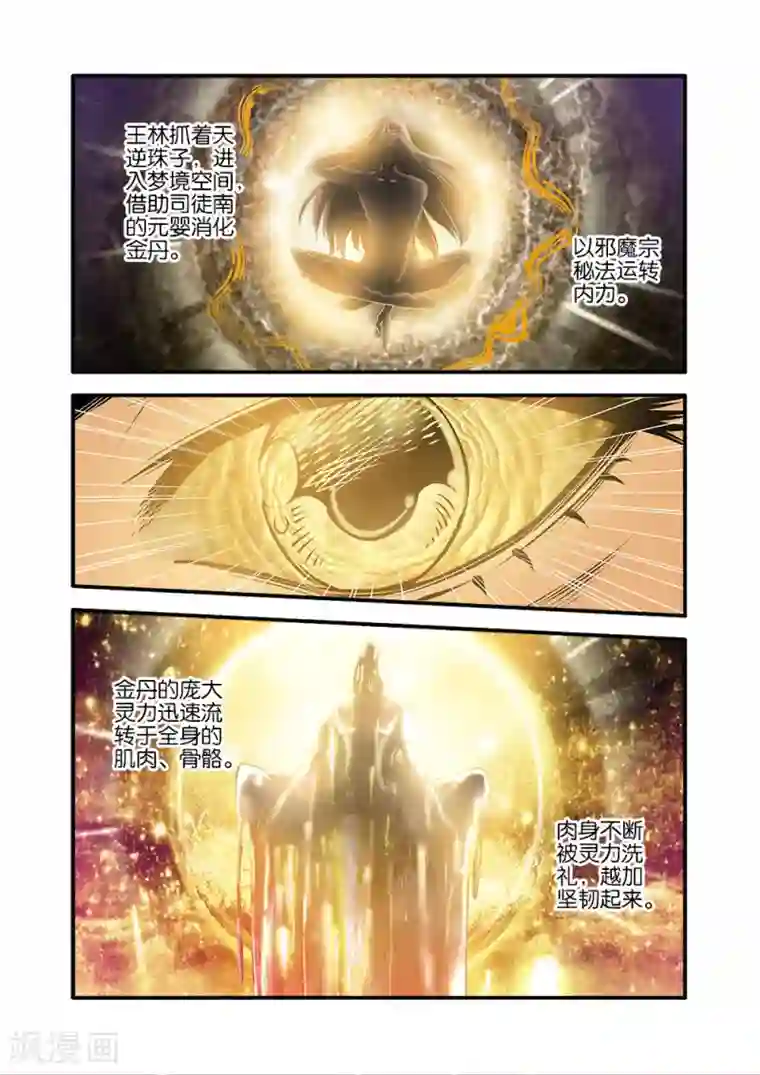 仙逆第70话3 金丹