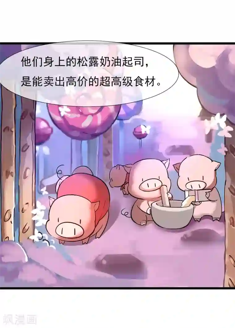 系统教我追男神第19话 糖果森林