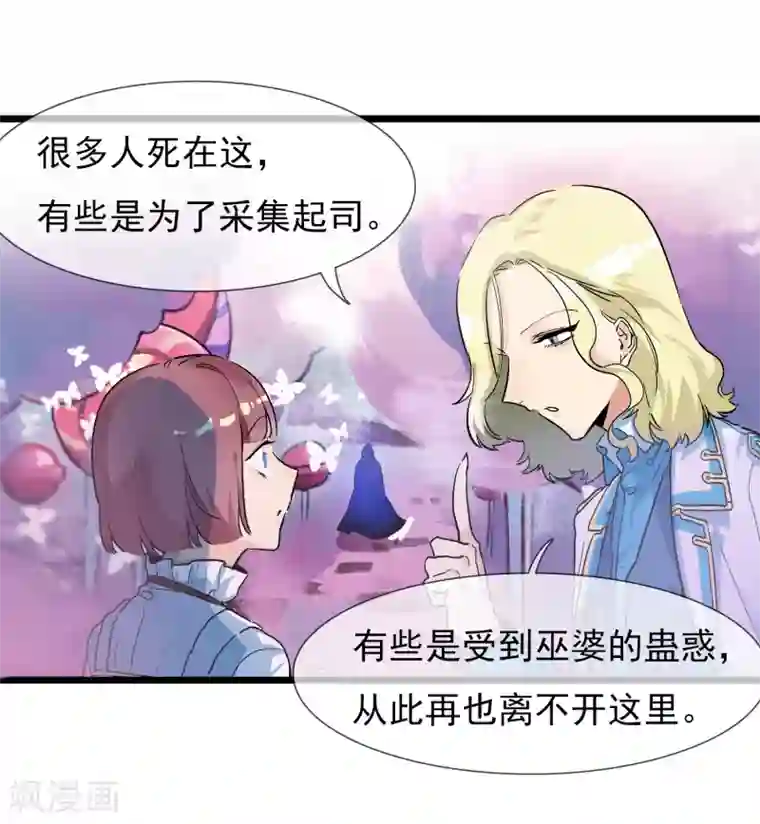 系统教我追男神第19话 糖果森林