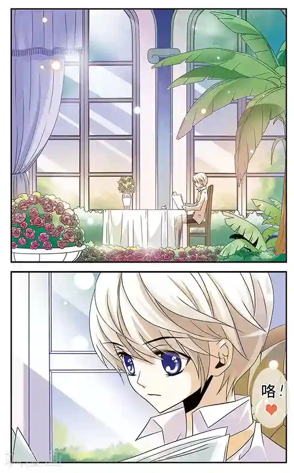 千叶樱华第6话 复苏之翼