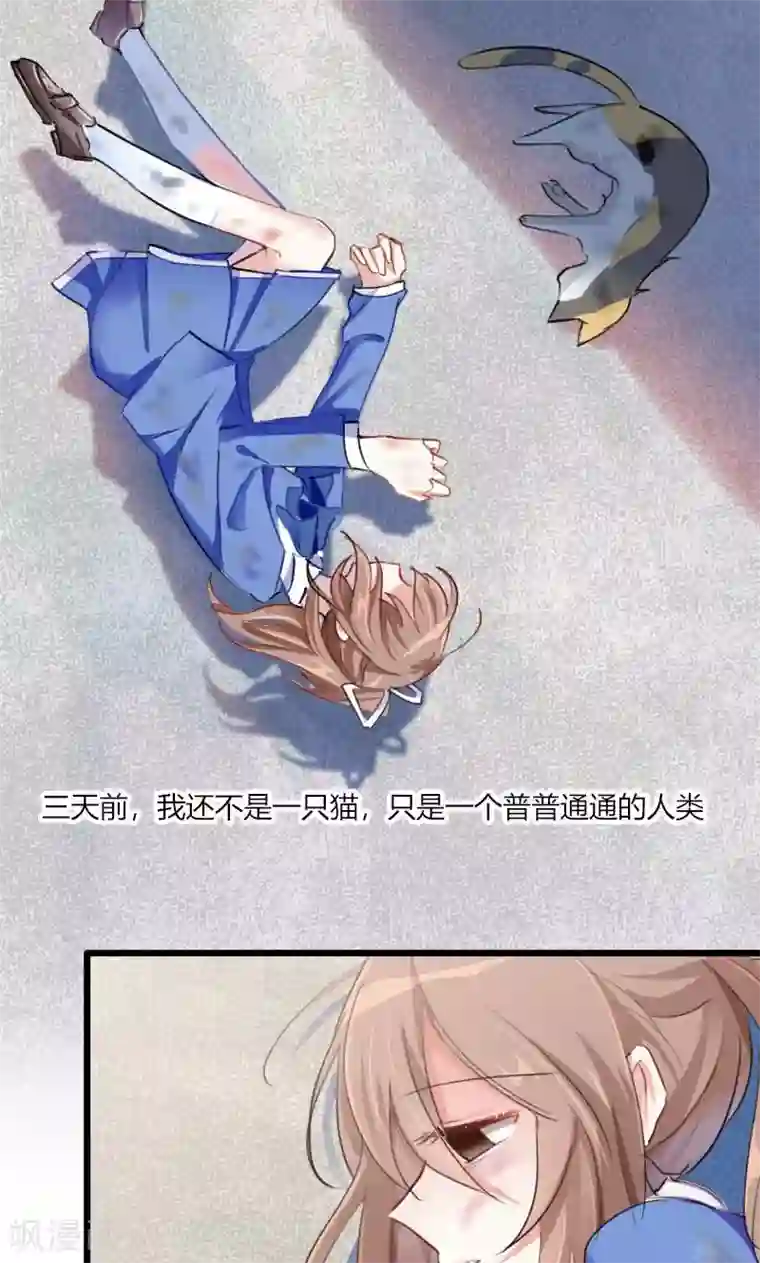 救命！我的男票是妖怪第2话 天降喵神？