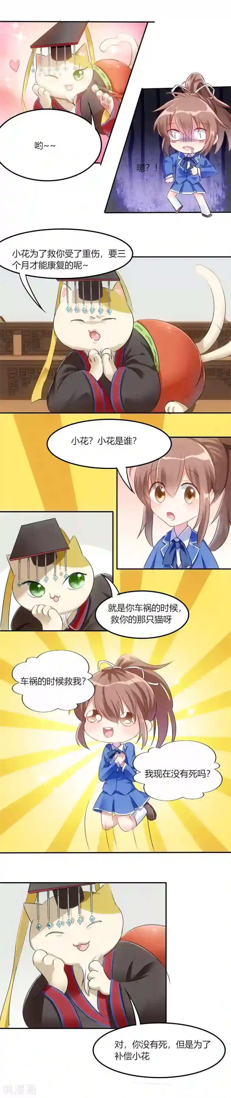 救命！我的男票是妖怪第3话 悲惨的喵生