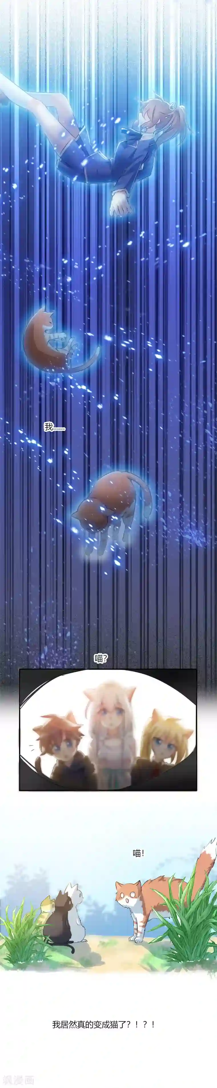 救命！我的男票是妖怪第3话 悲惨的喵生