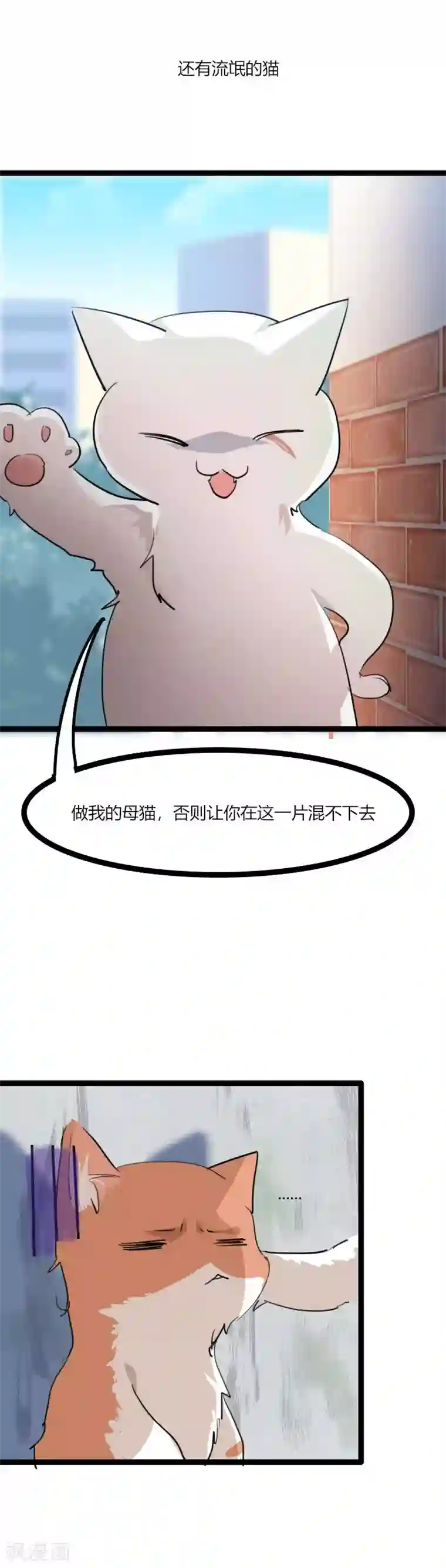 救命！我的男票是妖怪第3话 悲惨的喵生