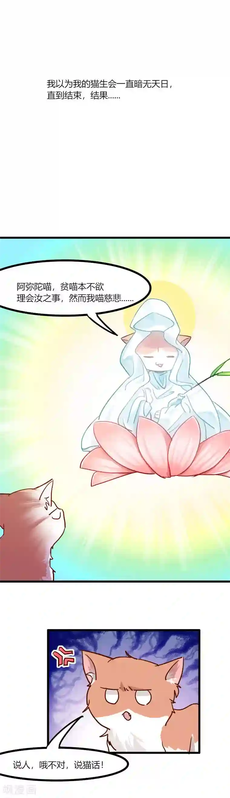 救命！我的男票是妖怪第3话 悲惨的喵生