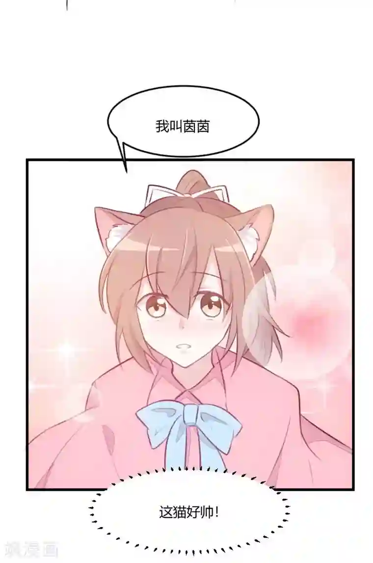 救命！我的男票是妖怪第7话 这猫好帅