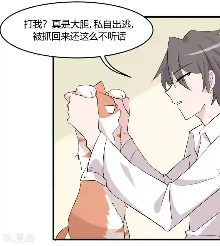 救命！我的男票是妖怪第15话 姐姐的项圈