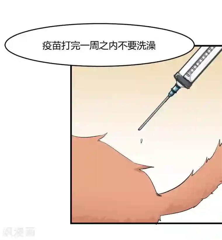 救命！我的男票是妖怪第17话 猫很活泼很健康