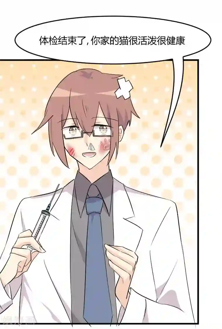 救命！我的男票是妖怪第17话 猫很活泼很健康