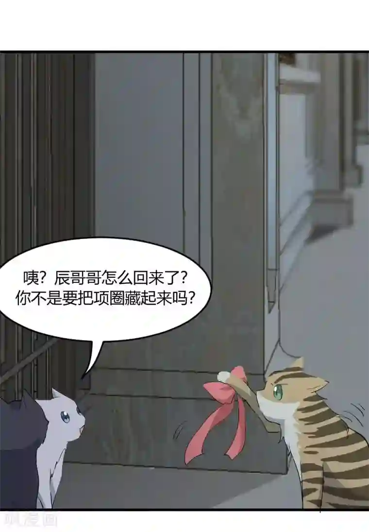 救命！我的男票是妖怪第17话 猫很活泼很健康