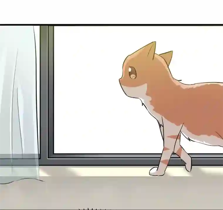 救命！我的男票是妖怪第18话 初见