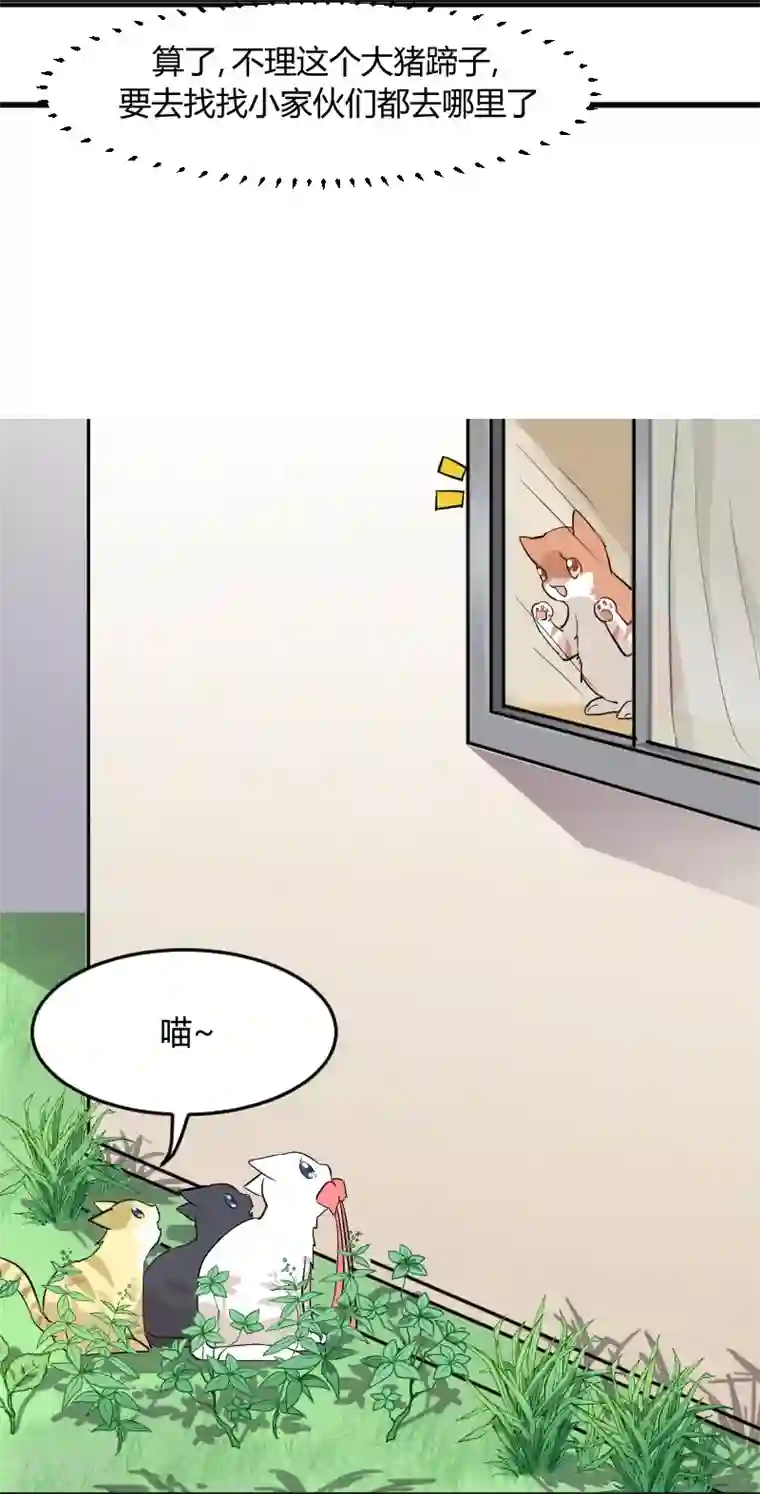 救命！我的男票是妖怪第18话 初见