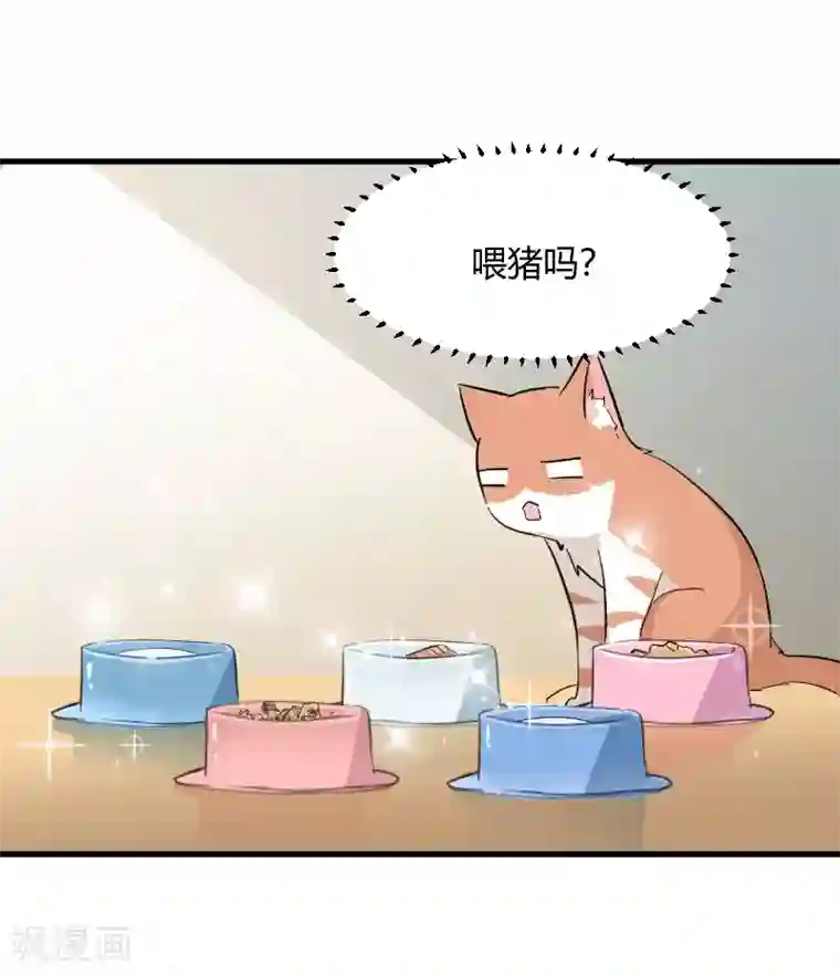 救命！我的男票是妖怪第18话 初见