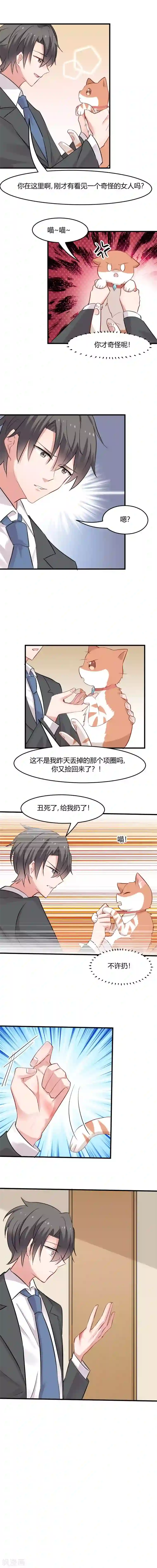 救命！我的男票是妖怪第22话 撸猫不成反被挠