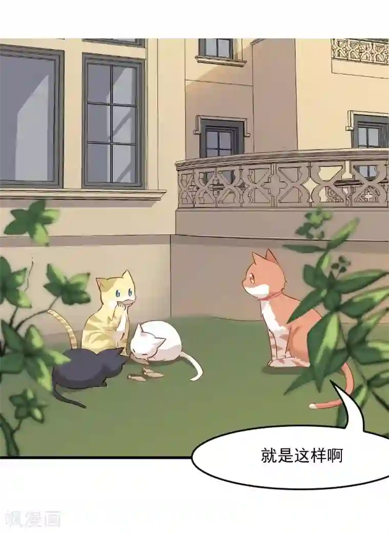 救命！我的男票是妖怪第23话 生气咯！？