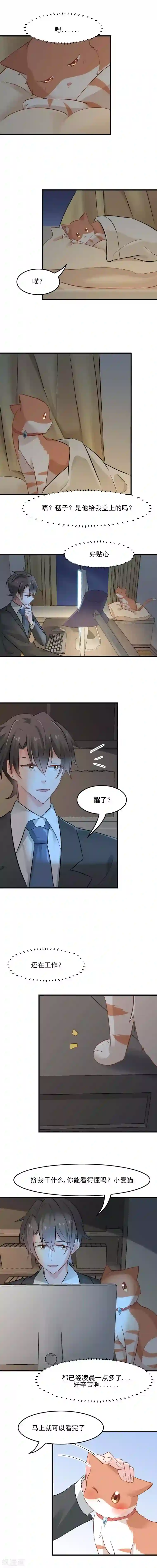 拉面摊的老板微博第25话 心疼了