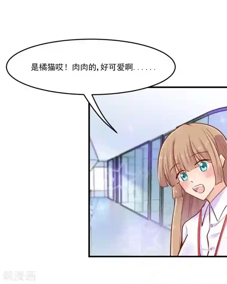 救命！我的男票是妖怪第39话 不许摸我的猫！