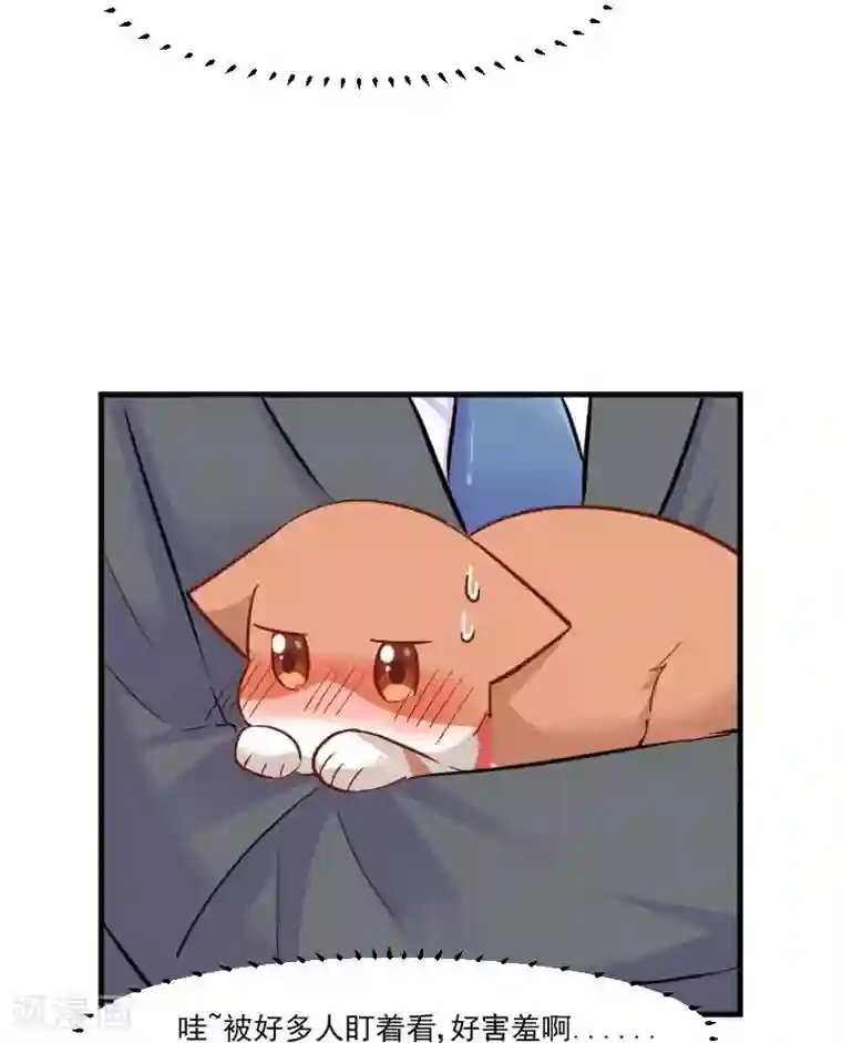 救命！我的男票是妖怪第39话 不许摸我的猫！