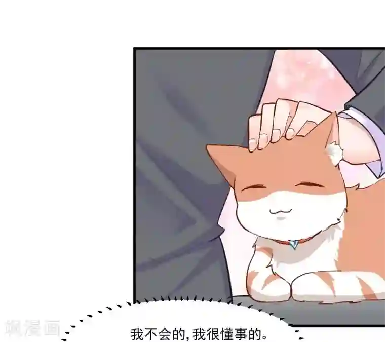 救命！我的男票是妖怪第39话 不许摸我的猫！