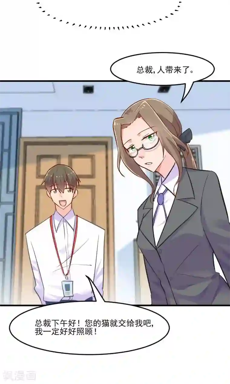 救命！我的男票是妖怪第39话 不许摸我的猫！