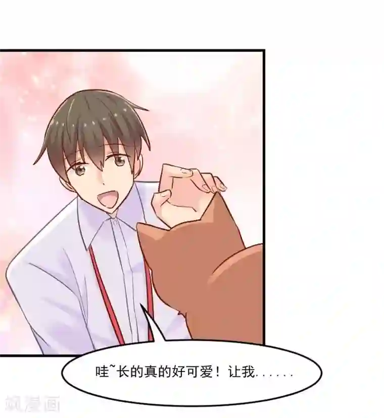 救命！我的男票是妖怪第39话 不许摸我的猫！