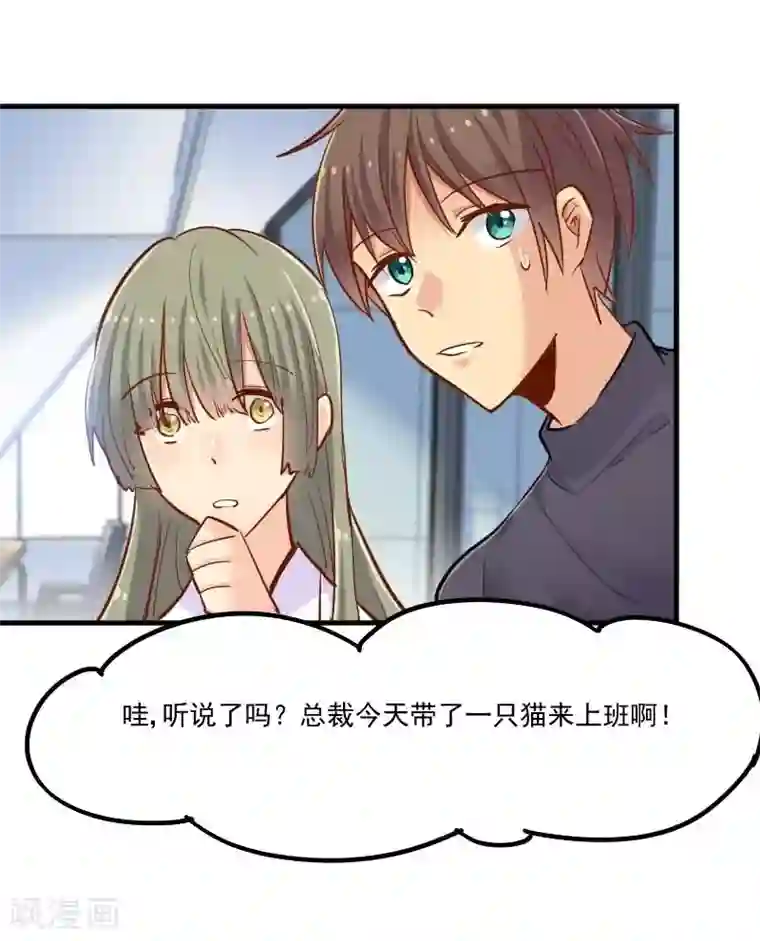 救命！我的男票是妖怪第39话 不许摸我的猫！