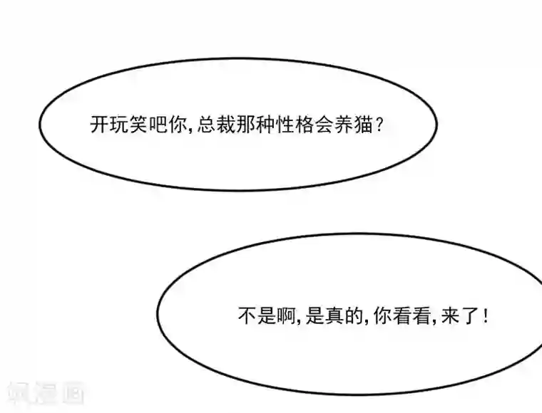 救命！我的男票是妖怪第39话 不许摸我的猫！