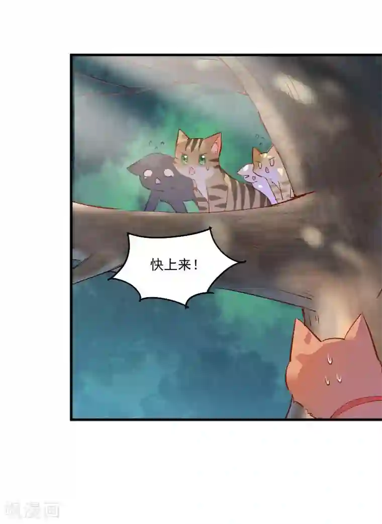 救命！我的男票是妖怪第50话 教训石倩