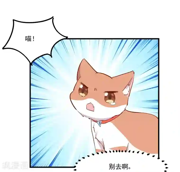 救命！我的男票是妖怪第51话 我要这只猫去死