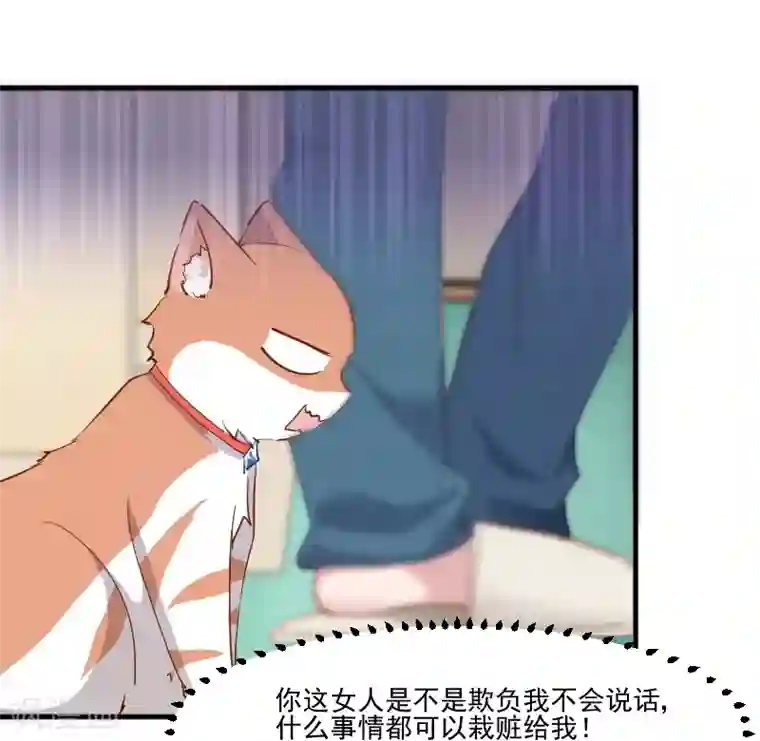 救命！我的男票是妖怪第51话 我要这只猫去死