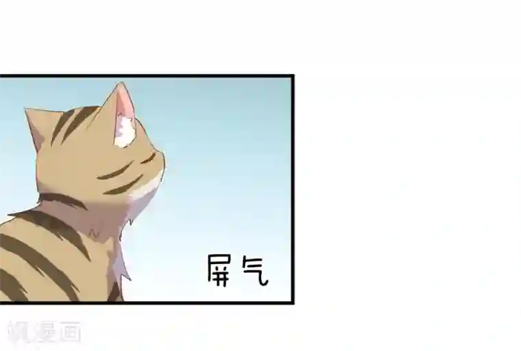 救命！我的男票是妖怪第55话 我要摔死了