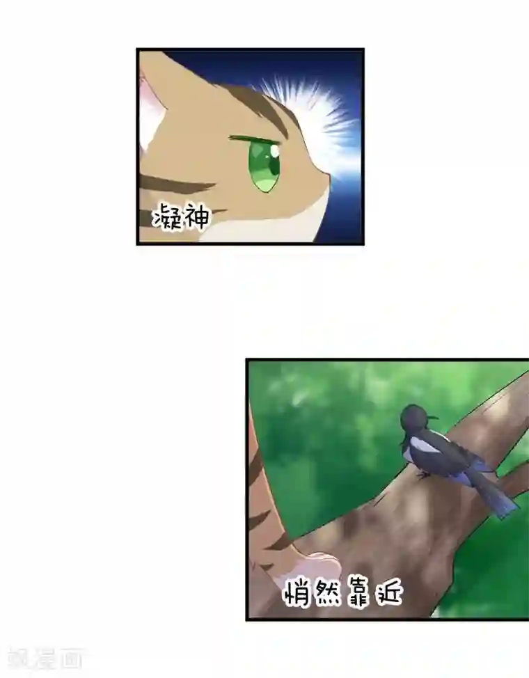 救命！我的男票是妖怪第55话 我要摔死了