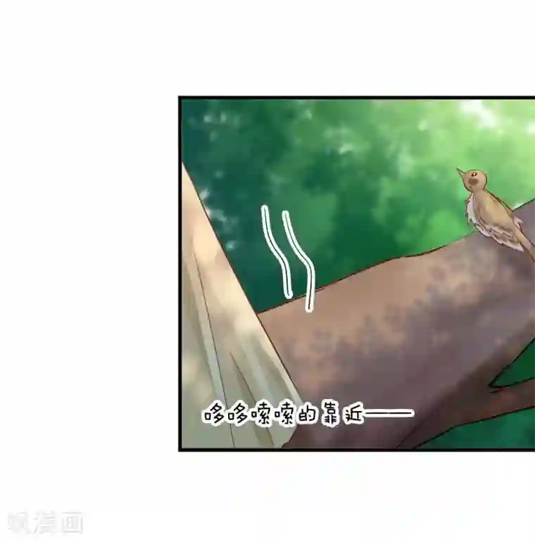 救命！我的男票是妖怪第55话 我要摔死了