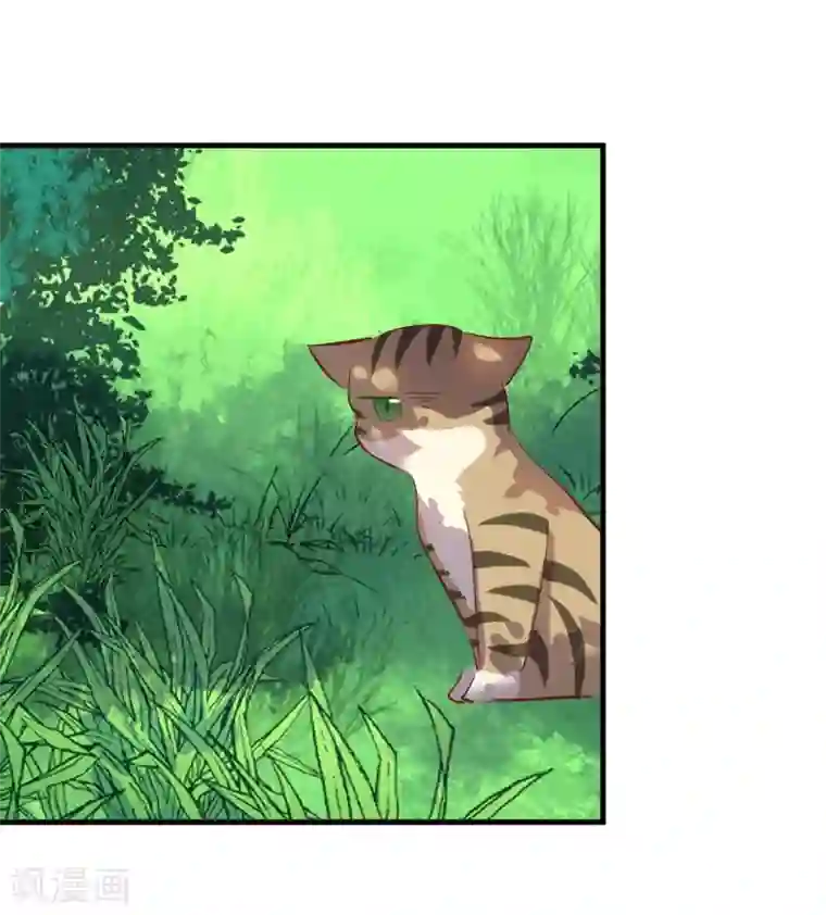 救命！我的男票是妖怪第61话 被发现是猫了